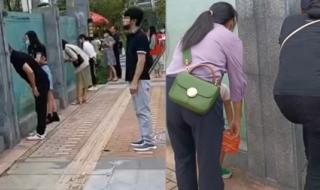 神兽开学家长心情 神兽开学家长心情