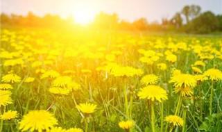 微信怎么用 微信怎么用