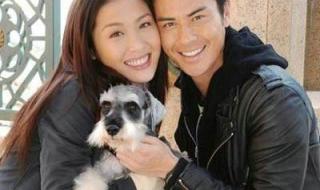 郑嘉颖的电视剧 郑嘉颖的电视剧